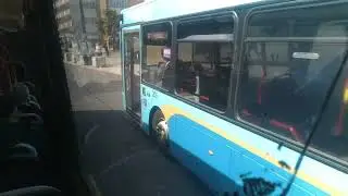 route 20  (the bus stank )
