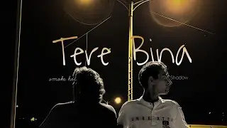D59 - TERE BINA (prod by @imveedy ) | 