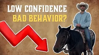 How to Fix Your Horse's Bad Behavior (Build Confidence)