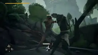 ABSOLVER: Masters of the Fold 👊🏾