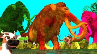 Zombie Mammoth Team VS Woolly Mammoth |Wild Bull Fight |Epic Battle for Animal Territory|Cartoon Cow