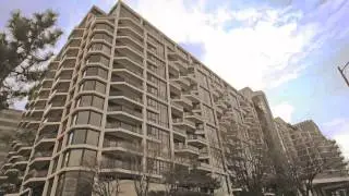 Arlington Condo: The Atrium
