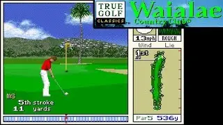 True Golf Classics: Waialae Country Club ... (SNES) Gameplay