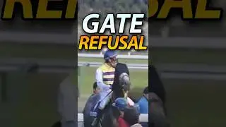Seiun Sky Once Delayed a Race for 7 Minutes 😭
