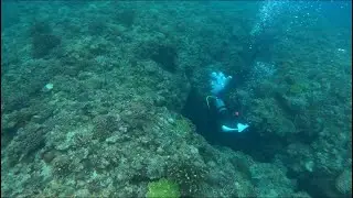 DREAM HOLE | Narrow 85ft Vertical Cave Dive | 4K