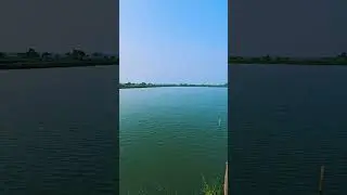 #fishfarming #naturephotography #fishingvideo #fishproject #fish