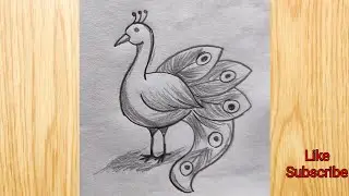 How to draw a beautiful peacock🦚 drawing || easy and simple drawing || art and craft 
