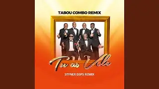 tu as vole(tabou combo) styner dsps