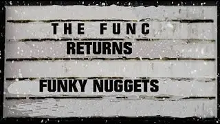 FUNKY NUGGETS by the FUNC
