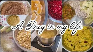 DIML 🍽️🍊🍚🍵Productive day || Cooking, Vegetables storing, Eating healthy 😋 #diml #food #productiveday