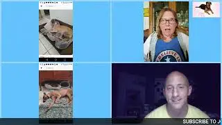 My Friend Amy Rains Talks About the GreyHound Breed....Very Informative Video