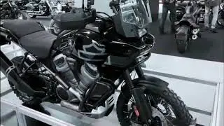 Harley Davidson Pan America 1250 Adventure Trailer 2021