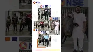 Celebrating 1 Year of the NSE Bull | A Symbol of Pride & Progress