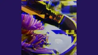Refined Music for Recollection