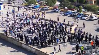 Γουρούνια επιτίθενται σε Απολλωνίστες χωρίς λόγο