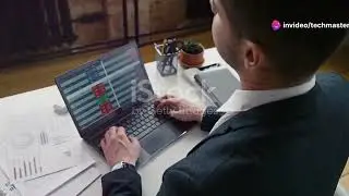 Excel Basics: Organizing Data | 2024
