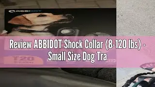 Review ABBIDOT Shock Collar (8-120 lbs) - Small Size Dog Training Collar with Remote Waterproof Rech