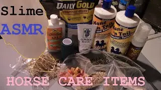 Adding Gross HORSE CARE ITEMS into SLIME ASMR satifying equestrian
