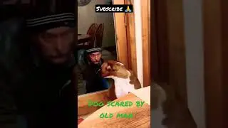 Dog Scared By Old Man 🤣😂#funny #shorts #subscribe #youtubeshorts
