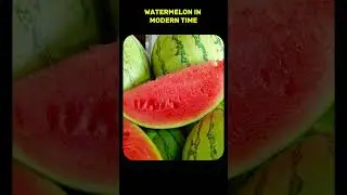 Ancient vs Modern: Cup 🍵 and Watermelon 🍉 Transformation Over Time