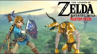 🎮 Breath of the Wild Master Mode Full Playthrough-ish🍄⭐