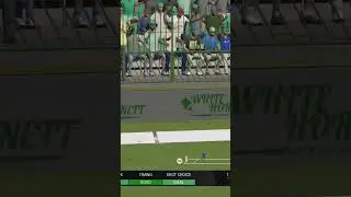 A cut for four #cricket24 #worldcup #mycareermode