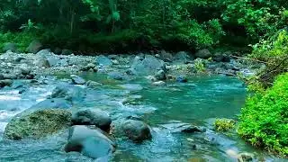 Beautiful Relaxing Sounds - Stop Overthinking, Stress Relief Music, Sleep Music, Calming Sounds