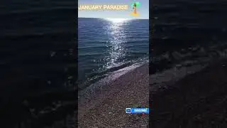 INCREDIBILE JANUARY PARADISE 🏖 ENJOY THE CALMING SOUND OF THE SEA #shorts #sea #ocean #relaxing