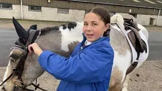 PC Teams Showjumping competition | Vlog | My Pony Pride