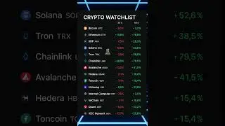Our Crypto Watchlist