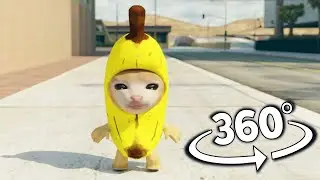 Banana Cat But It's 360 degree video | Happy Happy cat