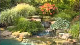 Custom Pool with Waterfall & Landscaping by NJ Pool Contractor Cording Landscape Design