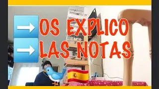 OS EXPLICO LAS NOTAS AÚN QUE NO RINDEN APENAS.🐦🇪🇸 678516031