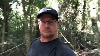 Yowie Research Witheren Canungra