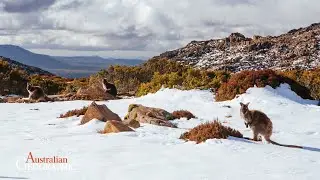 Why is Snow Slowing Down? The Science Behind the Reduced Chill