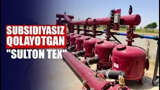 Qarshi tuman hokimi SULTON TEX GROUP klasterining yana bir tashabbusini bo‘g‘ib turibdi