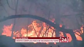 Alcalde de Tomé: Incendio en Dichato es 