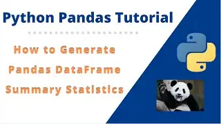 #10 How to Generate Pandas DataFrame Summary Statistic for Summarizing data in python