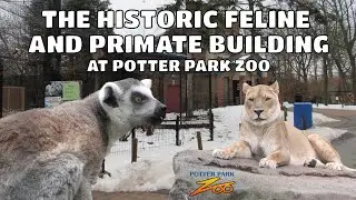 The Historic Feline and Primate Building at Potter Park Zoo | Exhibit Tours Ep. 3