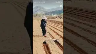Amazing China rural agriculture #farming #videos #videos