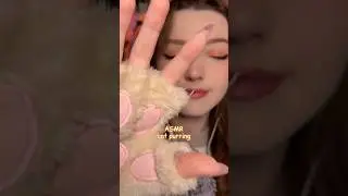 Cat purring #asmr #asmrsounds #asmrrelax #asmrtingles #asmrwhispers #asmrsleep #relax #tingles