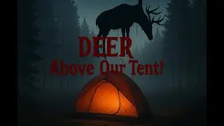 Real-Life Horror: BLOODY DEAD DEER Hung Above Tent After Terrifying Camping Stalker Incident