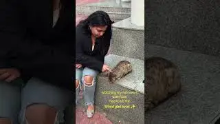 reletable short #relatable #releasethehounds #christuniversity