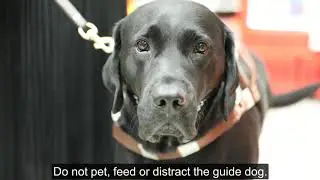 COVID-19 Accessibility: How to offer help to someone who is blind or partially sighted