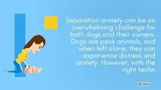 Separation Anxiety | Dogs Expert Tips | Methods alleviate separation anxiety | PawPrint Adventures