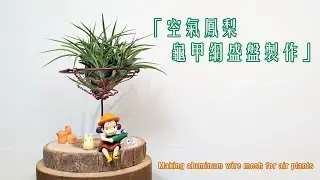 空氣鳳梨-龜甲網盛盤製作 Making aluminum wire mesh for air plant