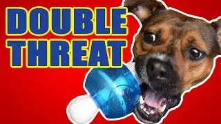 The DOUBLE Threat - DOG TOY REVIEW | JW Wobble Rubber Ball and Nylon Dog Toy