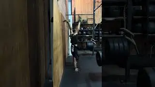 Wall Facing Handstand Hold