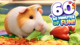 Lets learn wild animals for kids + vocabulary Cute baby Nursery Rhymes Kids Songs Compilation Pet