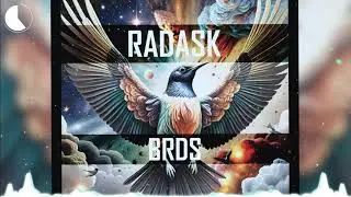 radasK - brds [ Dubstep ]